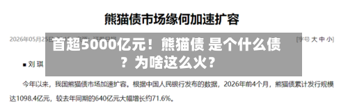 首超5000亿元!熊猫债 是个什么债?为啥这么火?