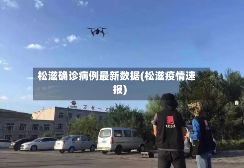 松滋确诊病例最新数据(松滋疫情速报)-第2张图片