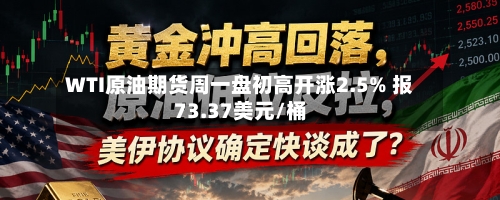 WTI原油期货周一盘初高开涨2.5% 报73.37美元/桶-第2张图片