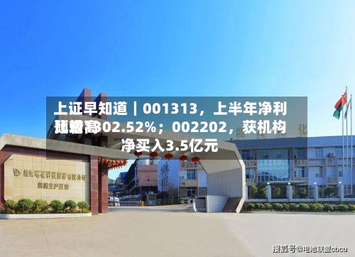 上证早知道｜001313	，上半年净利比较高预增1302.52%；002202，获机构净买入3.5亿元-第3张图片
