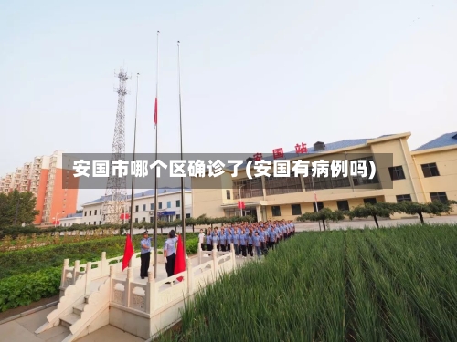 安国市哪个区确诊了(安国有病例吗)-第2张图片