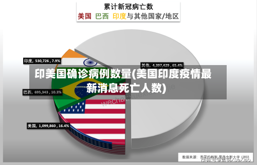 印美国确诊病例数量(美国印度疫情最新消息死亡人数)-第2张图片