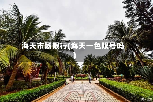 海天市场限行(海天一色限号吗)