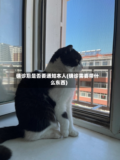 确诊后是否要通知本人(确诊需要带什么东西)-第1张图片