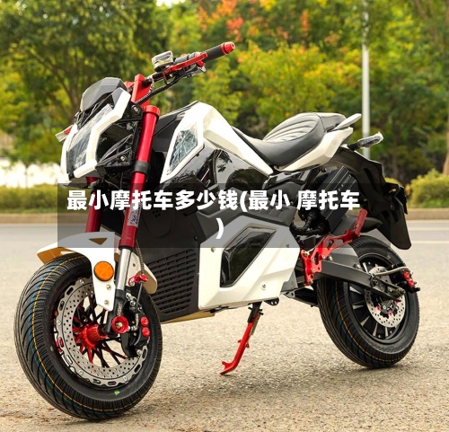 最小摩托车多少钱(最小 摩托车)