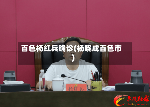 百色杨红兵确诊(杨晓成百色市)