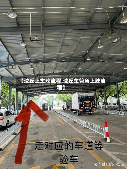 【沈丘上车牌流程,沈丘车管所上牌流程】