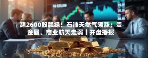 超2600股飘绿！石油天然气领涨；贵金属	、商业航天走弱｜开盘播报-第2张图片