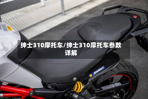 绅士310摩托车/绅士310摩托车参数详解