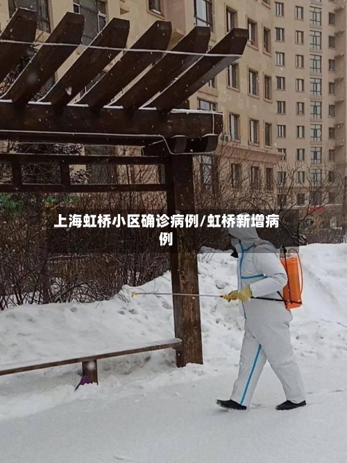 上海虹桥小区确诊病例/虹桥新增病例