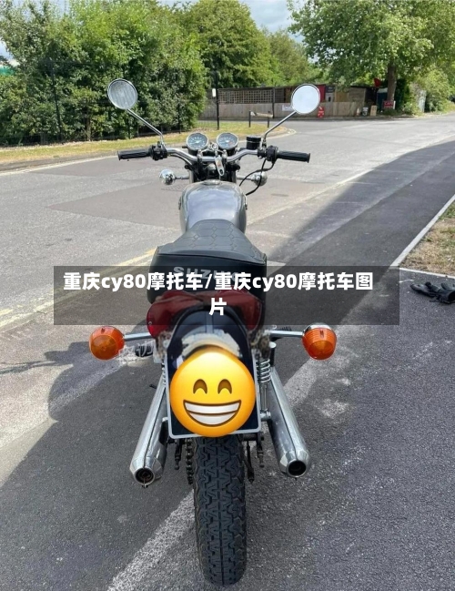 重庆cy80摩托车/重庆cy80摩托车图片-第3张图片