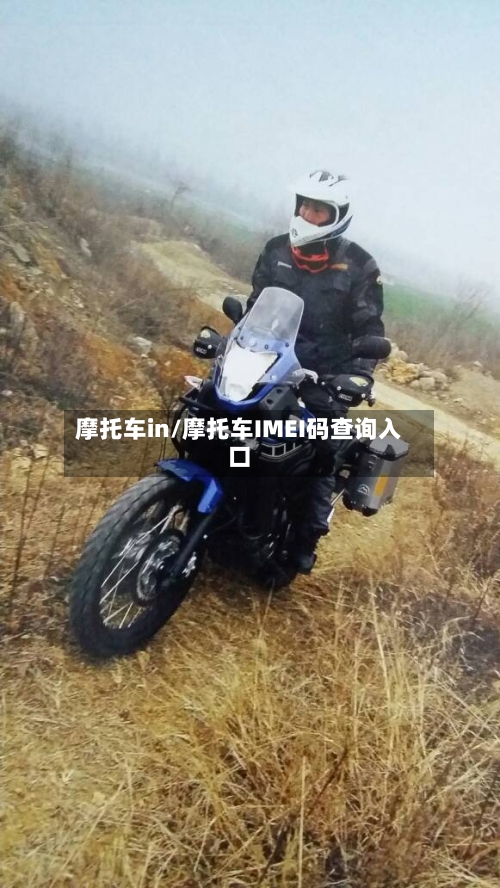 摩托车in/摩托车IMEI码查询入口