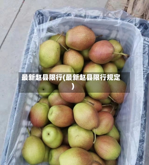 最新赵县限行(最新赵县限行规定)