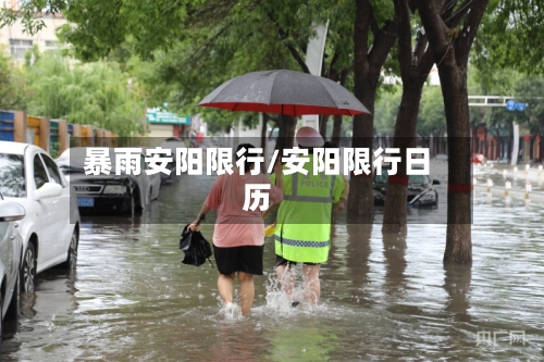 暴雨安阳限行/安阳限行日历-第2张图片