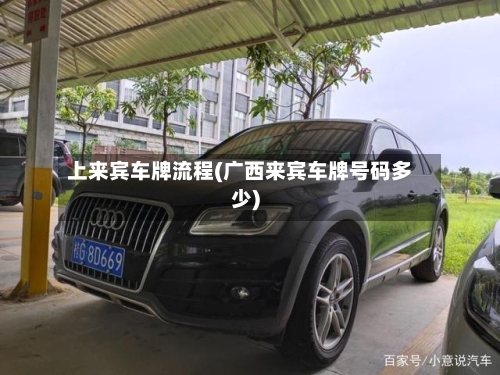 上来宾车牌流程(广西来宾车牌号码多少)