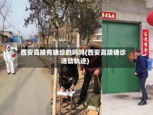 西安高陵有确诊的吗吗(西安高陵确诊活动轨迹)-第3张图片