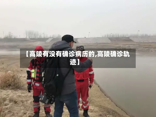 【高陵有没有确诊病历的,高陵确诊轨迹】-第2张图片
