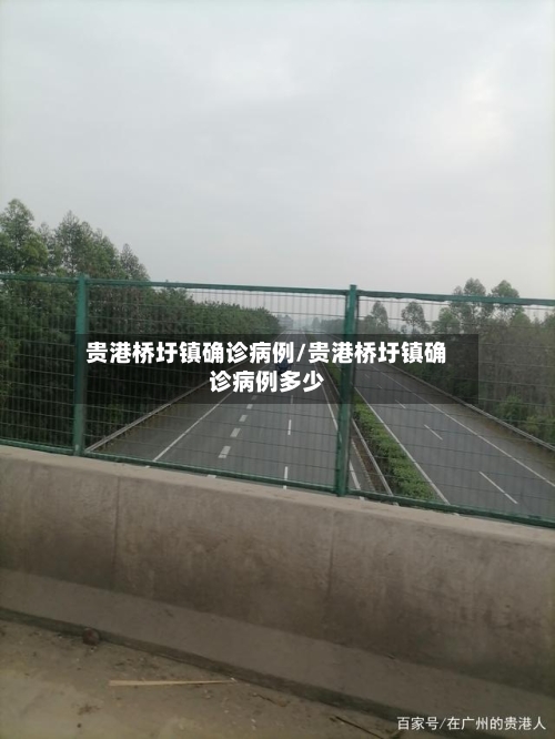 贵港桥圩镇确诊病例/贵港桥圩镇确诊病例多少