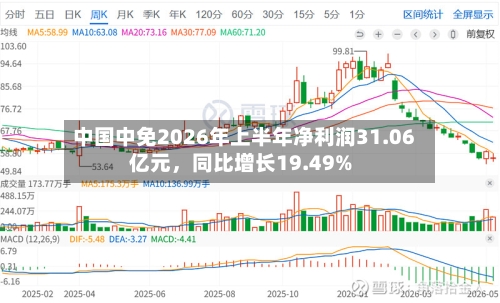 中国中免2026年上半年净利润31.06亿元,同比增长19.49%