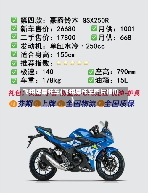 飞翔牌摩托车(飞翔摩托车图片报价)-第3张图片