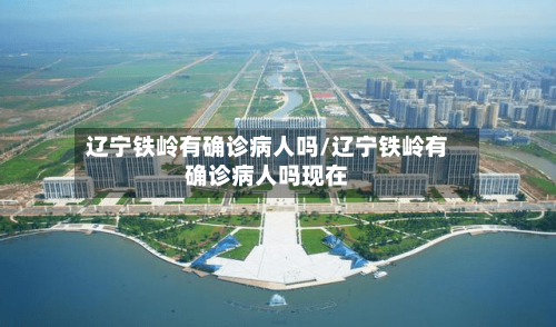 辽宁铁岭有确诊病人吗/辽宁铁岭有确诊病人吗现在-第2张图片