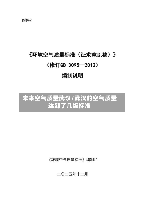 未来空气质量武汉/武汉的空气质量达到了几级标准