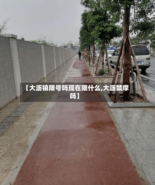 【大沥镇限号吗现在限什么,大沥禁摩吗】