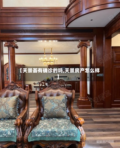 【天景荟有确诊的吗,天景房产怎么样】-第3张图片