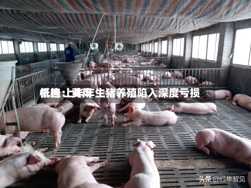 机构:费用
低迷 上半年生猪养殖陷入深度亏损
