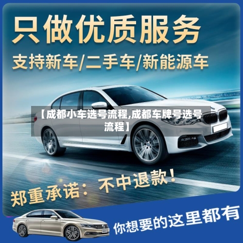 【成都小车选号流程,成都车牌号选号流程】