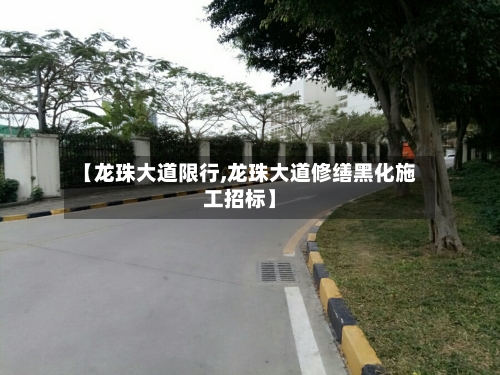 【龙珠大道限行,龙珠大道修缮黑化施工招标】-第2张图片