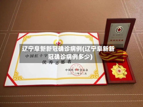 辽宁阜新新冠确诊病例(辽宁阜新新冠确诊病例多少)-第2张图片