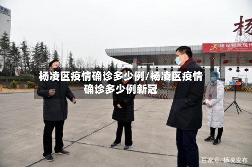 杨凌区疫情确诊多少例/杨凌区疫情确诊多少例新冠-第2张图片