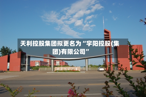 天利控股集团拟更名为“宇阳控股(集团)有限公司”-第2张图片