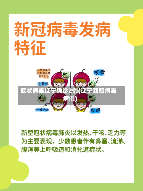 冠状病毒辽宁确诊2例(辽宁新冠病毒病例)
