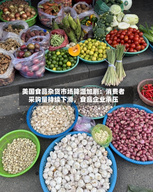 美国食品杂货市场降温加剧：消费者采购量持续下滑，食品企业承压-第3张图片