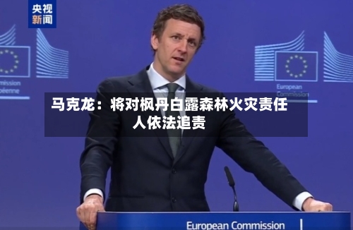 马克龙:将对枫丹白露森林火灾责任人依法追责