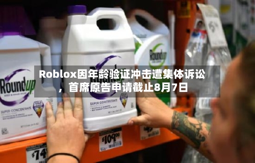 Roblox因年龄验证冲击遭集体诉讼，首席原告申请截止8月7日