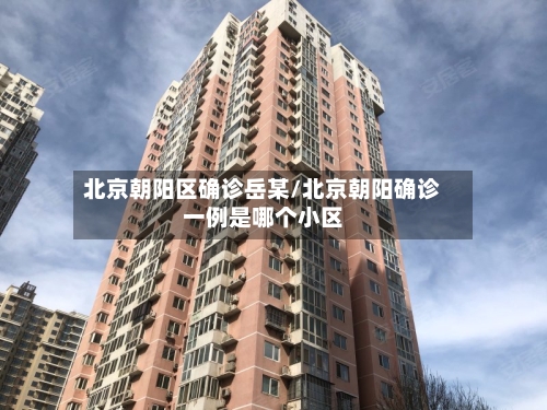 北京朝阳区确诊岳某/北京朝阳确诊一例是哪个小区