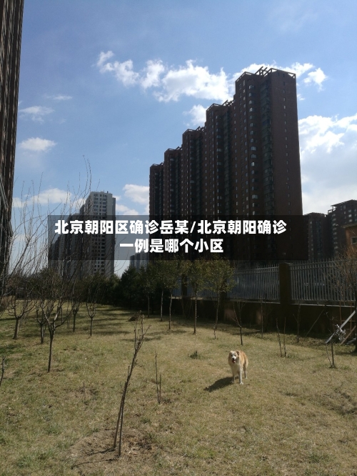 北京朝阳区确诊岳某/北京朝阳确诊一例是哪个小区-第2张图片