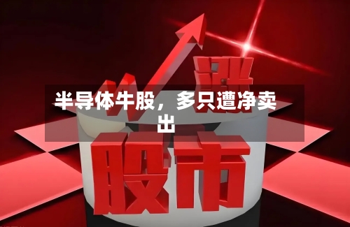 半导体牛股,多只遭净卖出