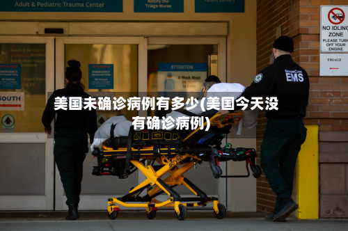 美国未确诊病例有多少(美国今天没有确诊病例)-第2张图片