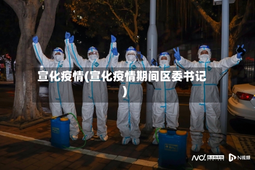 宣化疫情(宣化疫情期间区委书记)