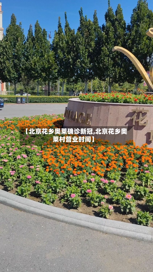 【北京花乡奥莱确诊新冠,北京花乡奥莱村营业时间】-第3张图片
