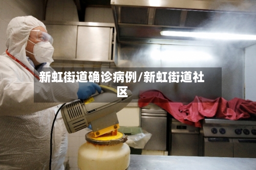 新虹街道确诊病例/新虹街道社区