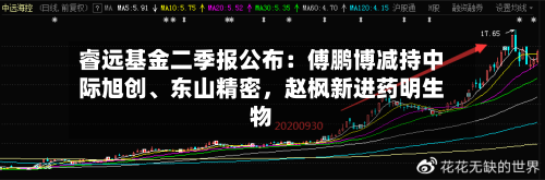睿远基金二季报公布：傅鹏博减持中际旭创	、东山精密，赵枫新进药明生物-第2张图片