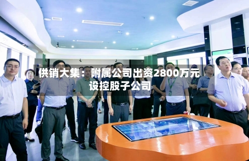供销大集:附属公司出资2800万元设控股子公司-第2张图片