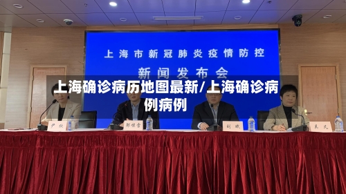 上海确诊病历地图最新/上海确诊病例病例-第2张图片