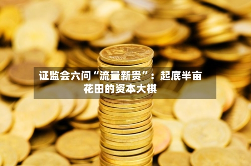 证监会六问“流量新贵	”：起底半亩花田的资本大棋-第2张图片