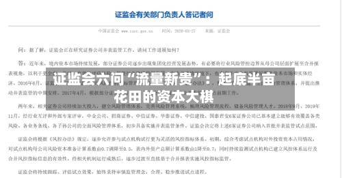 证监会六问“流量新贵”：起底半亩花田的资本大棋-第3张图片